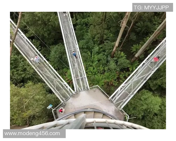 伦敦中国与澳大利亚的文化碰撞与交流之旅探索
